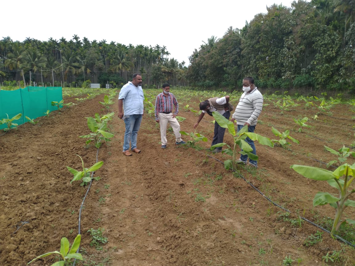 Diagnostic Visit to Banana field at Kunigal