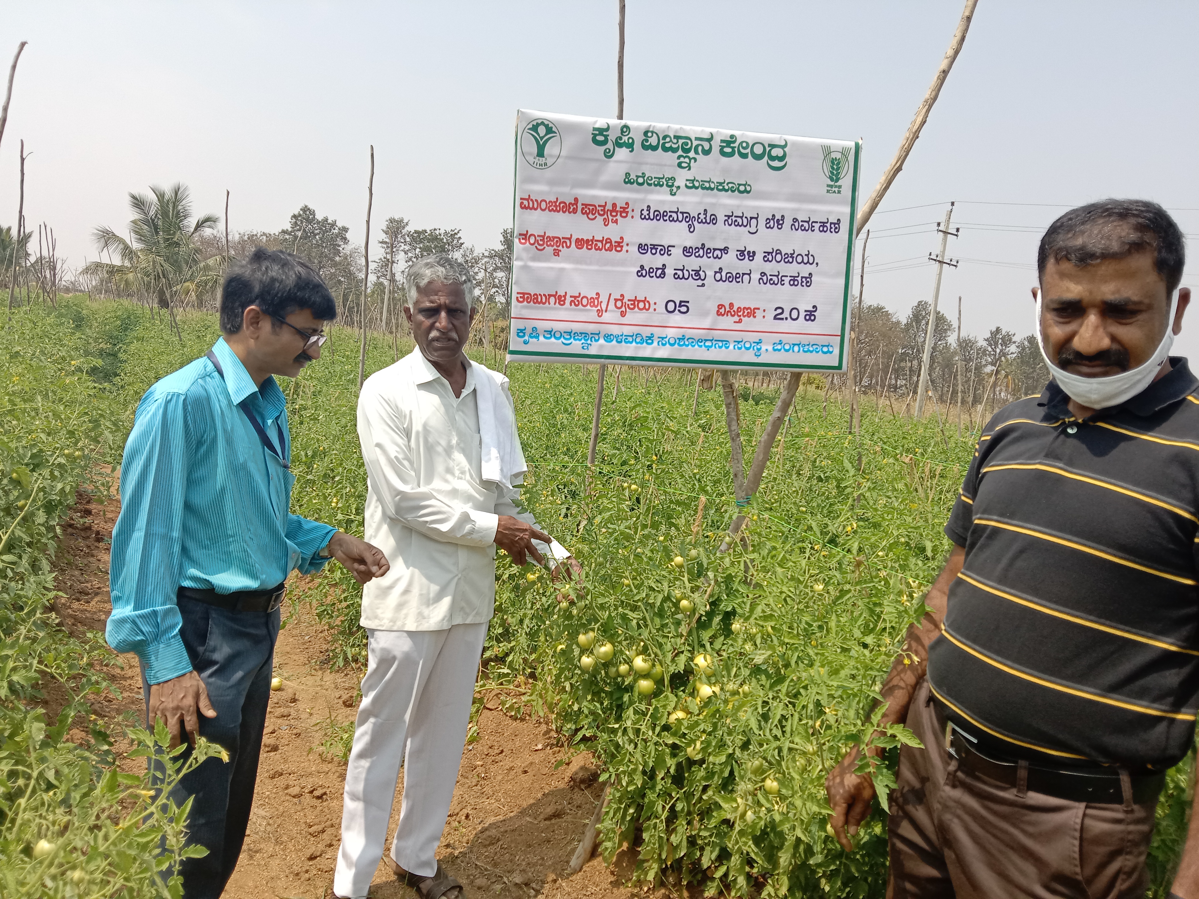 Field visit to Tomato at Pallavalli village of Pavagada