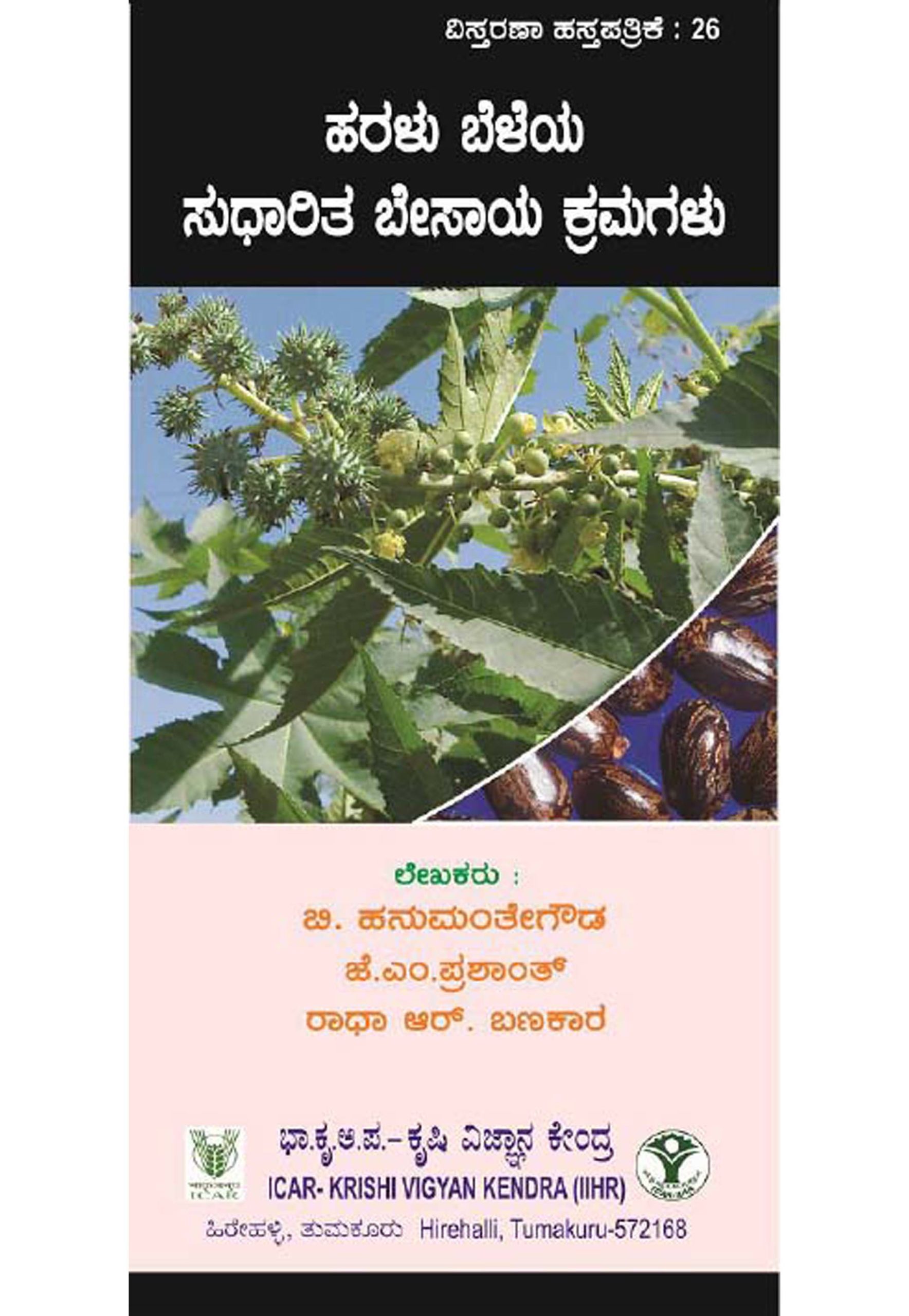 Improved cultivation practices of Castor